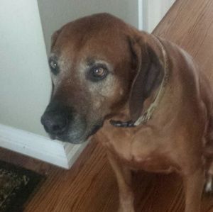 Meet your Posher, Kelli